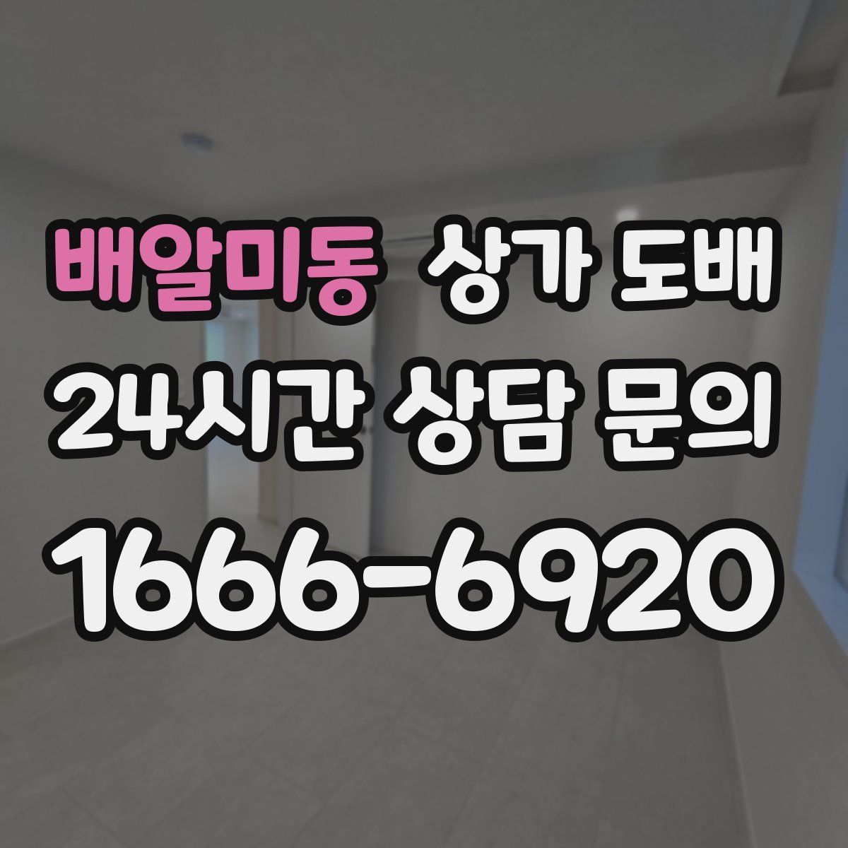 배알미동 상가 도배