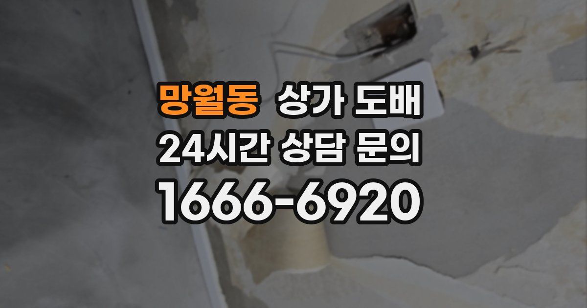 망월동 상가 도배