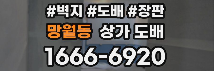 망월동 상가 도배