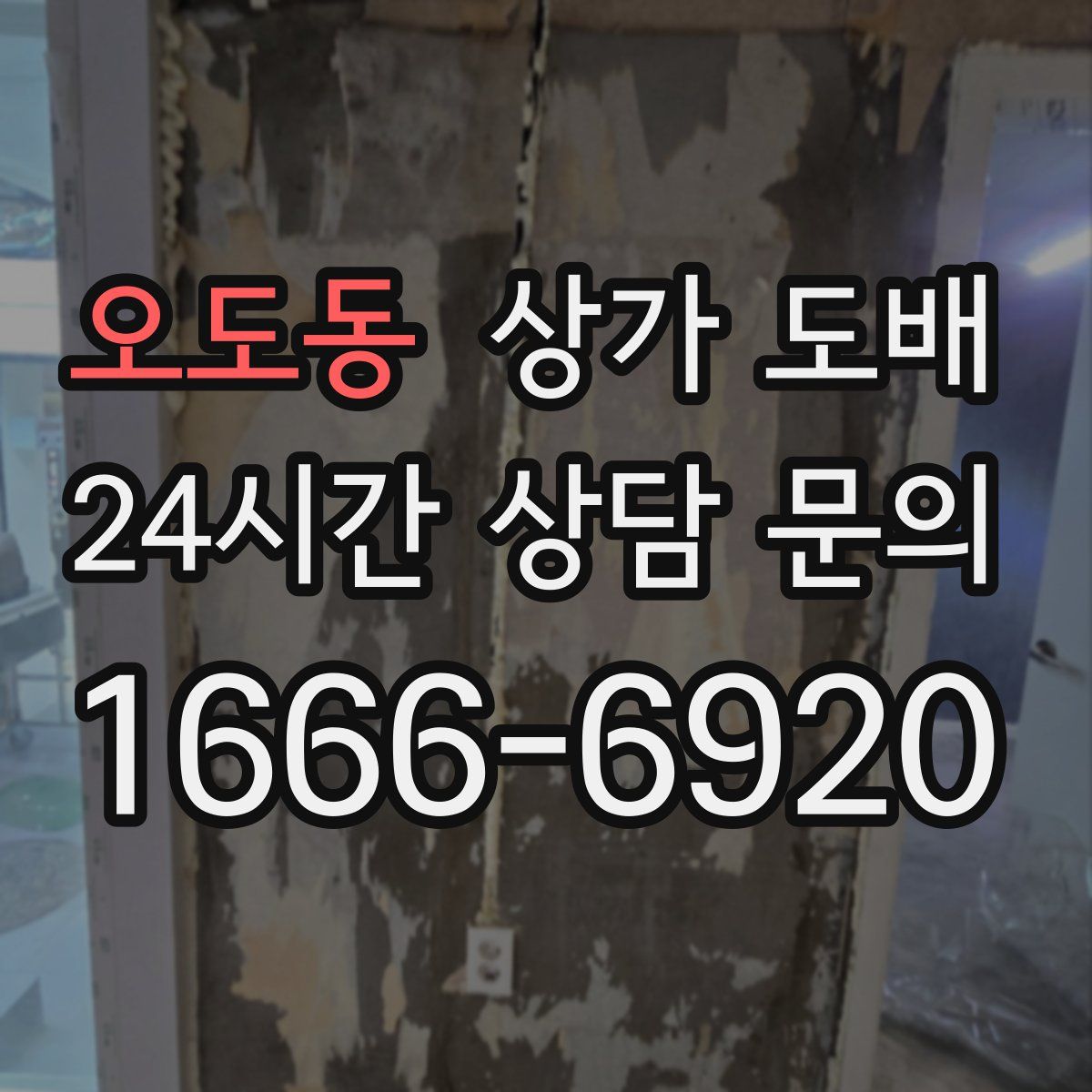 오도동 상가 도배
