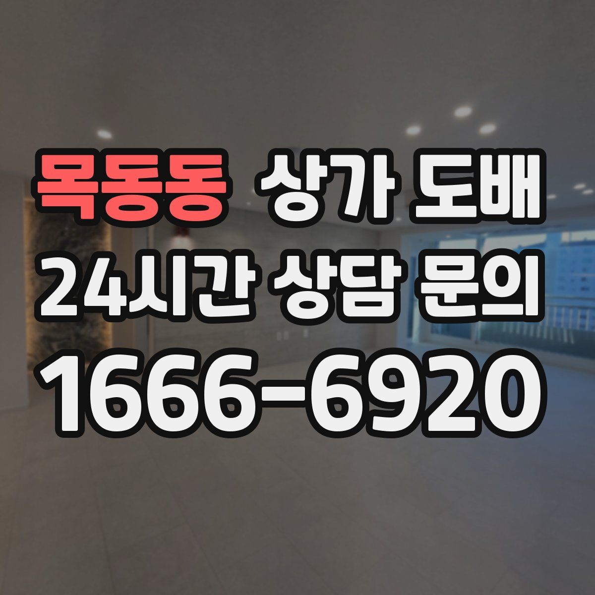 목동동 상가 도배