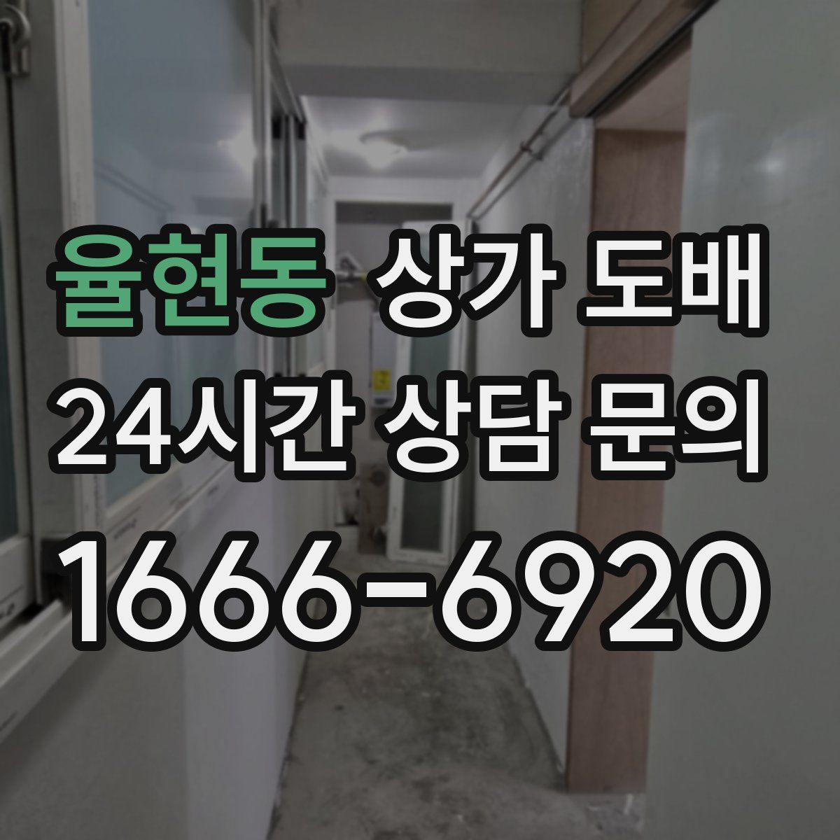 율현동 상가 도배
