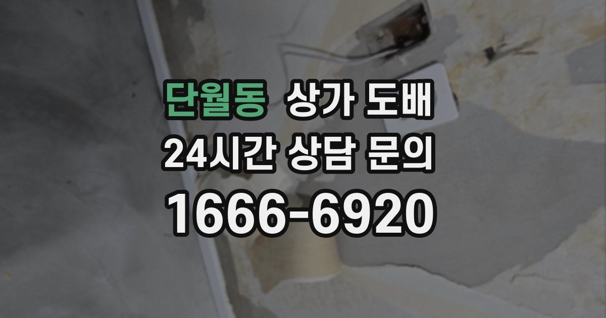 단월동 상가 도배