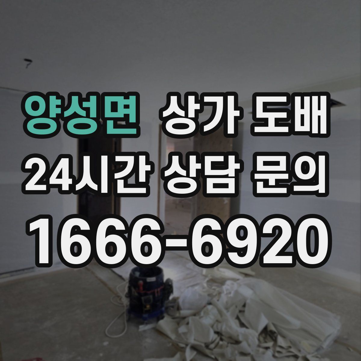양성면 상가 도배