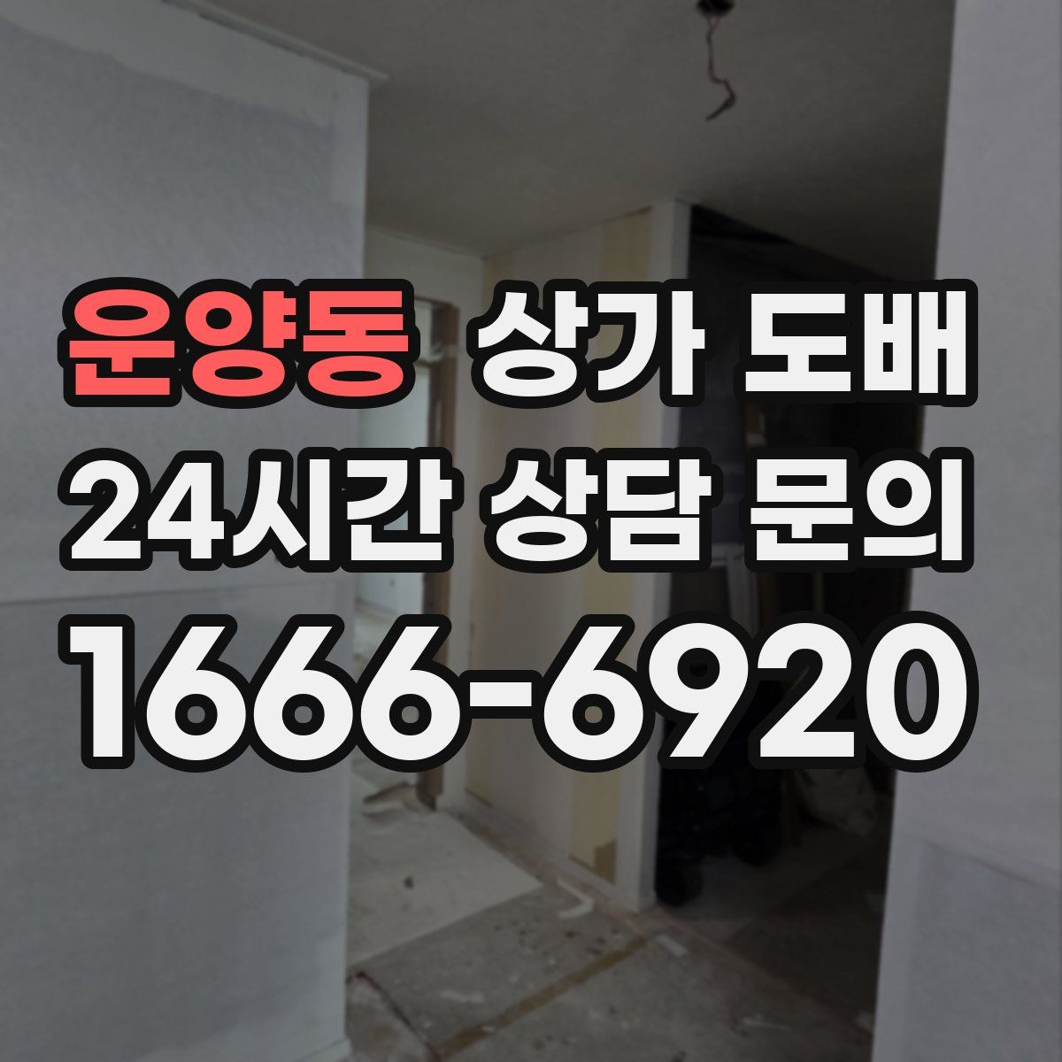 운양동 상가 도배