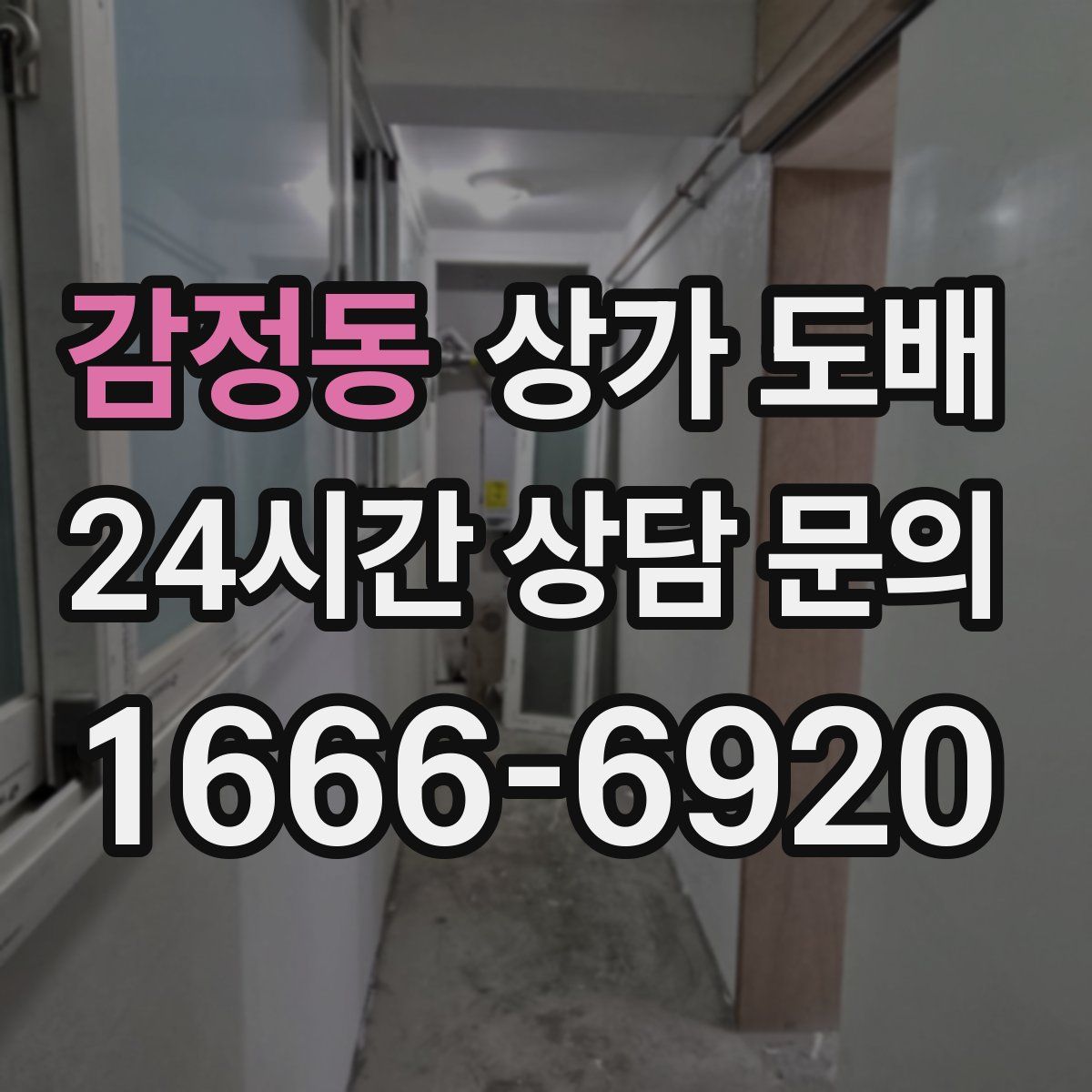 감정동 상가 도배