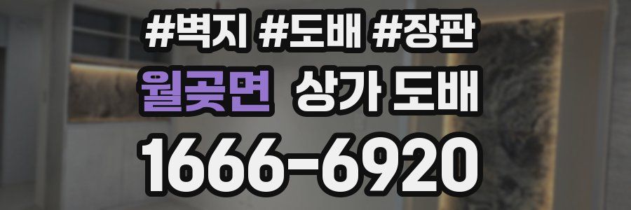 월곶면 상가 도배