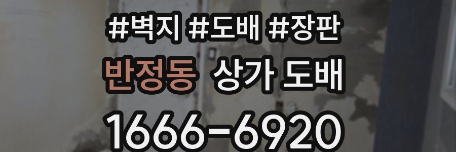 반정동 상가 도배