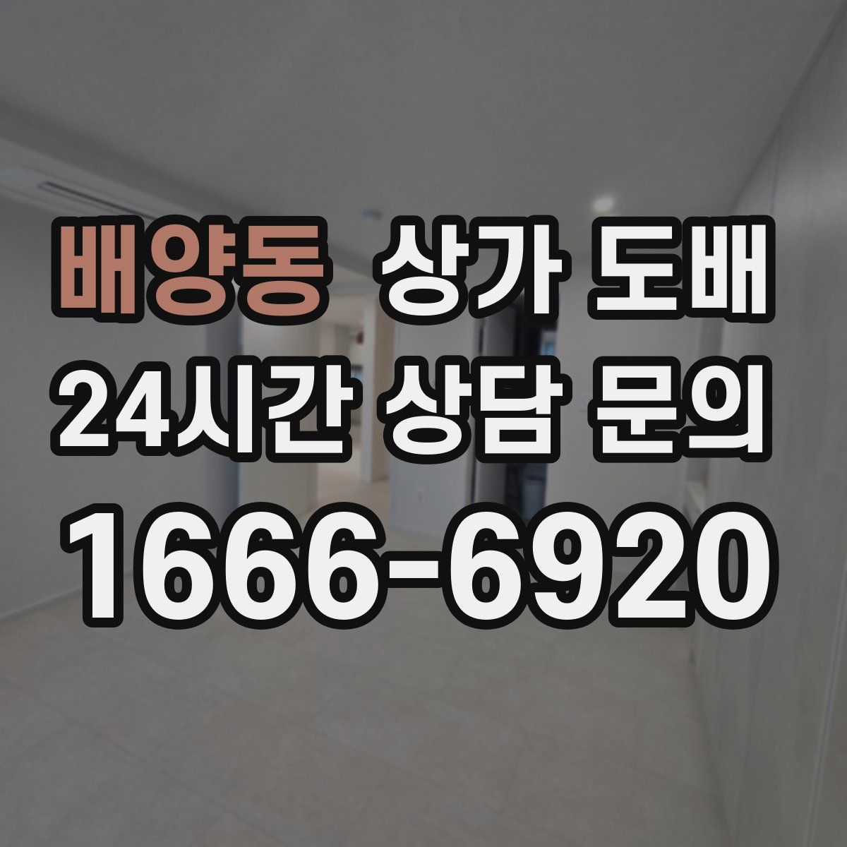 배양동 상가 도배