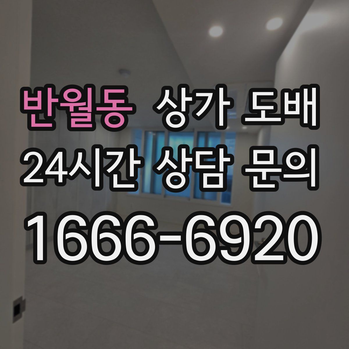 반월동 상가 도배
