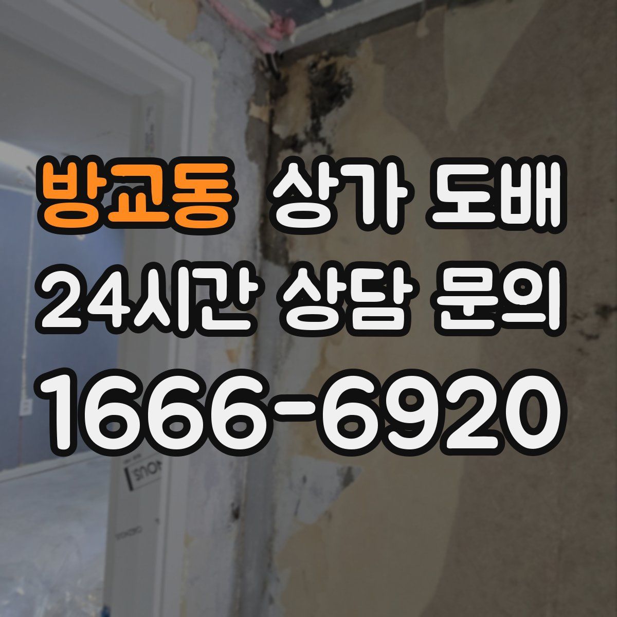 방교동 상가 도배