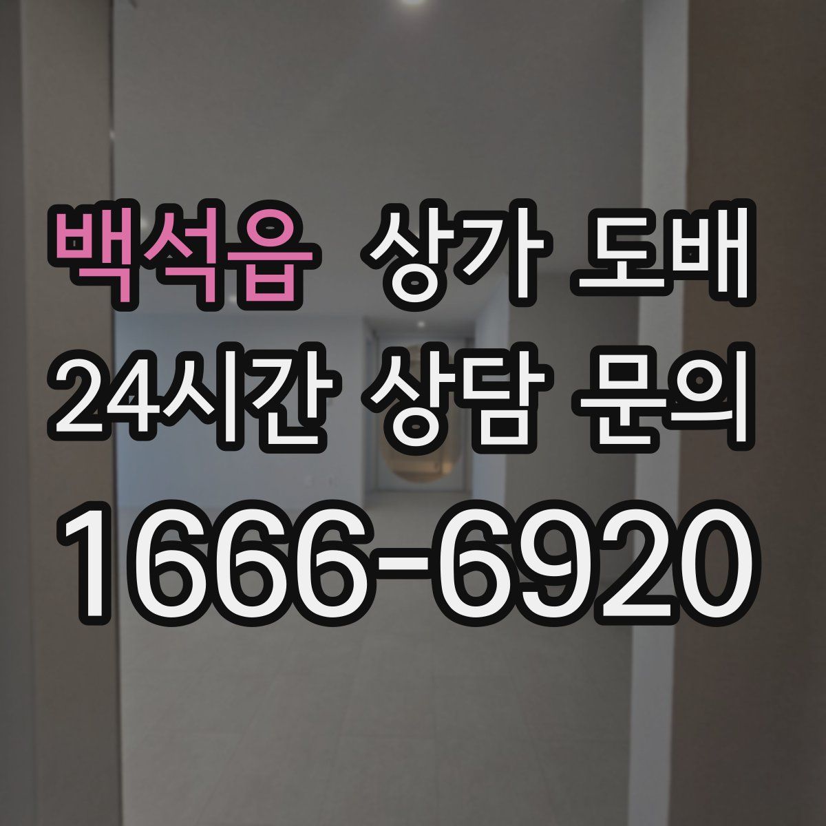 백석읍 상가 도배