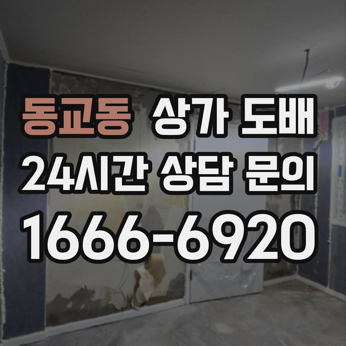 동교동 상가 도배
