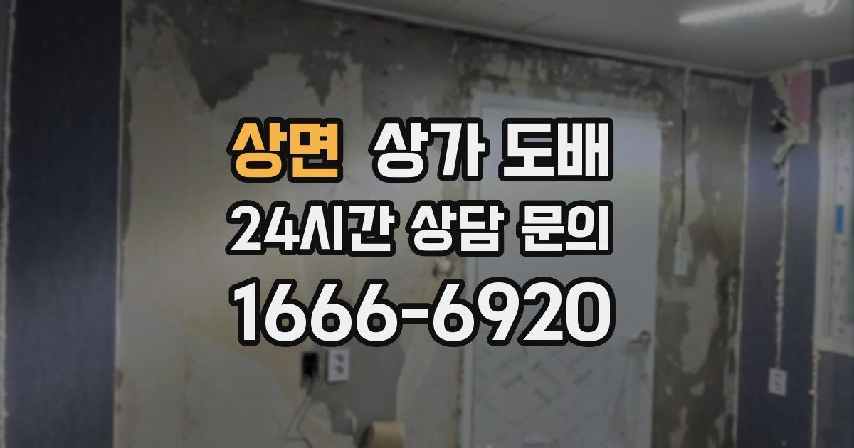 상면 상가 도배