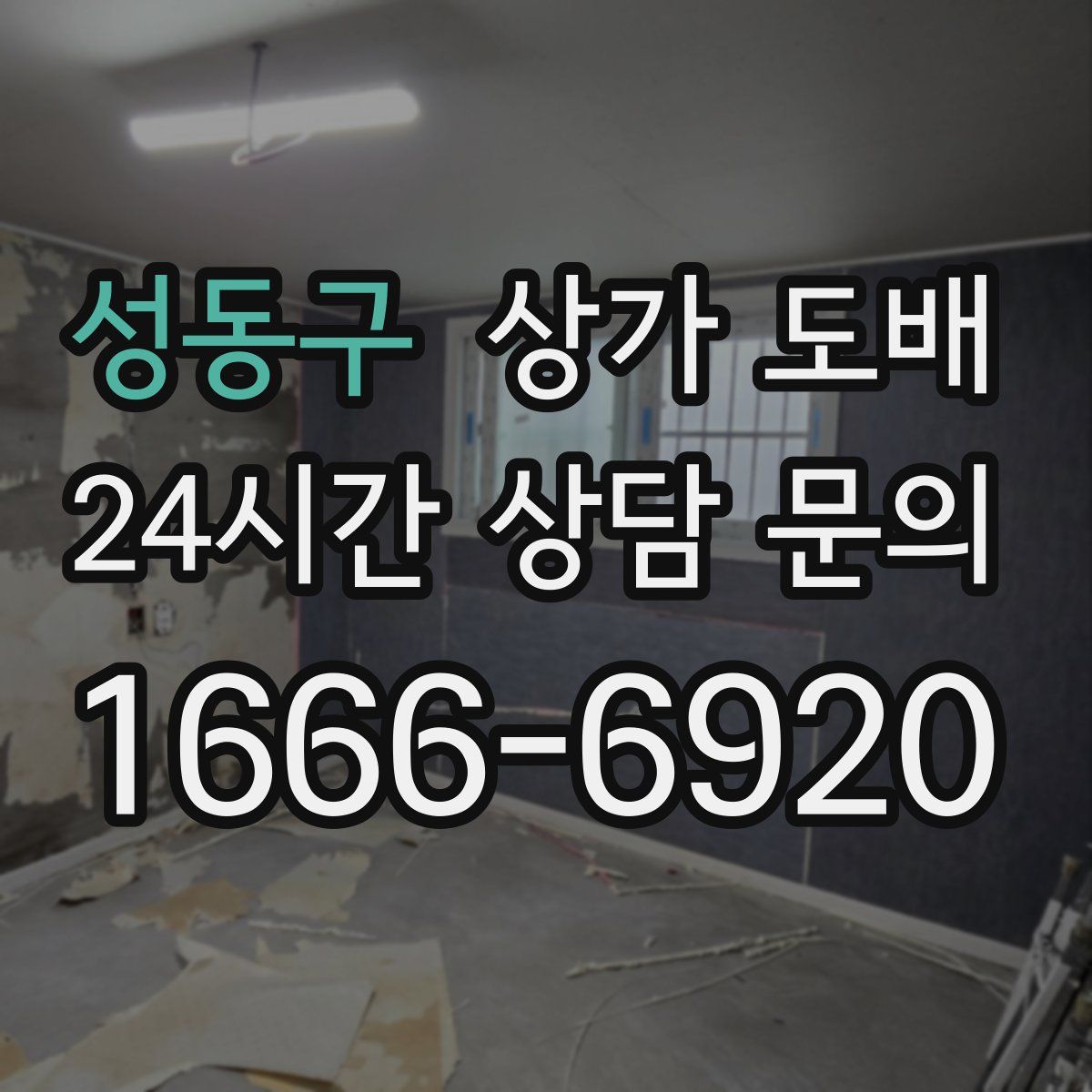 성동구 상가 도배