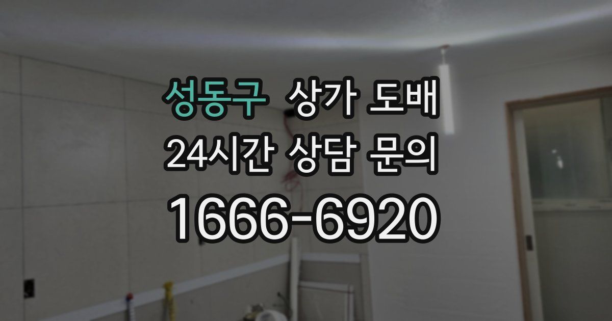 성동구 상가 도배