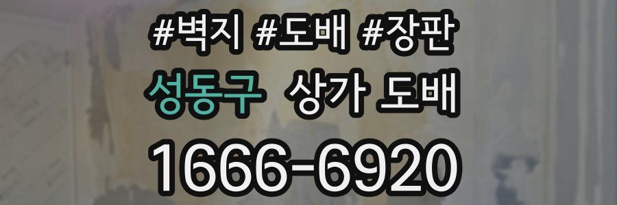 성동구 상가 도배