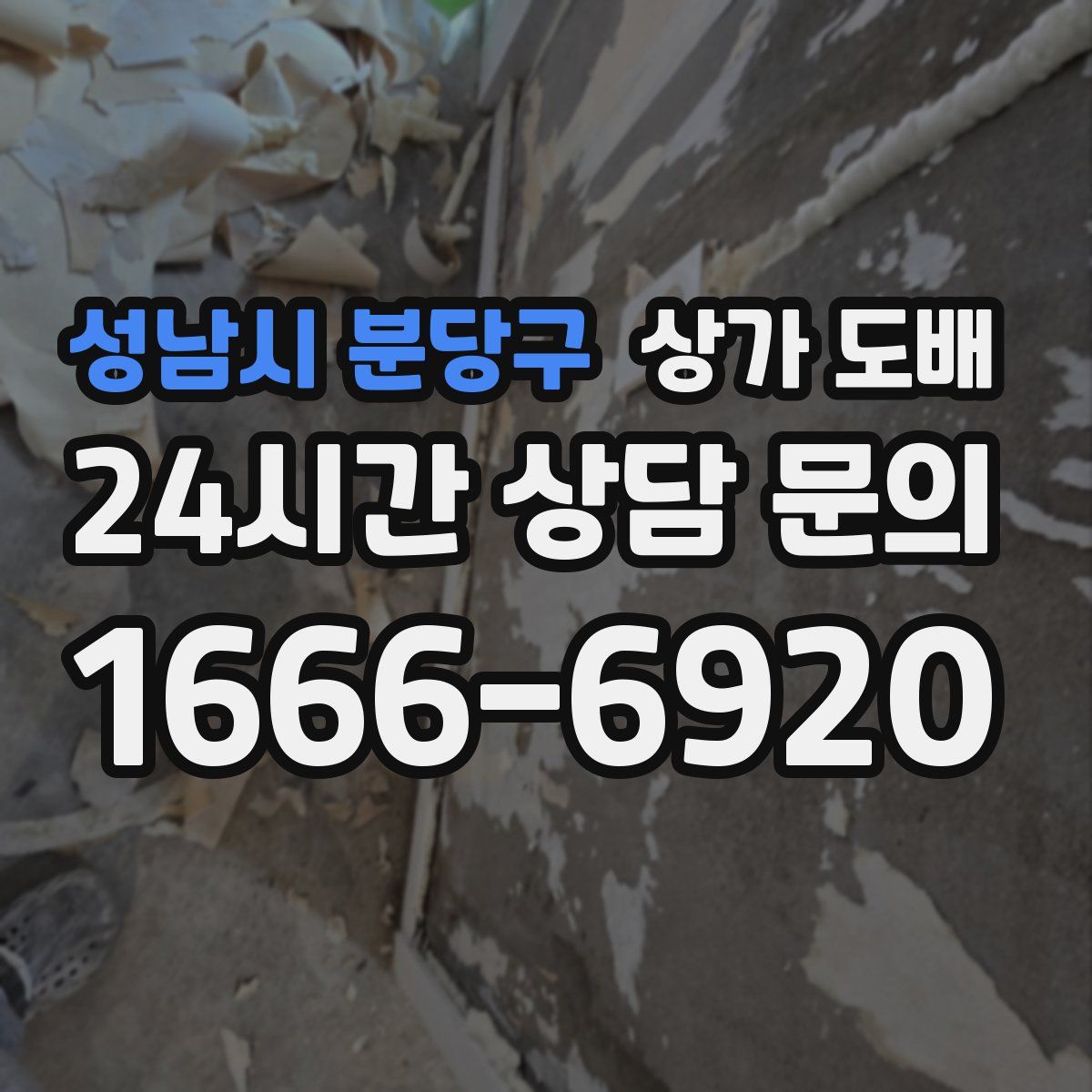성남시 분당구 상가 도배