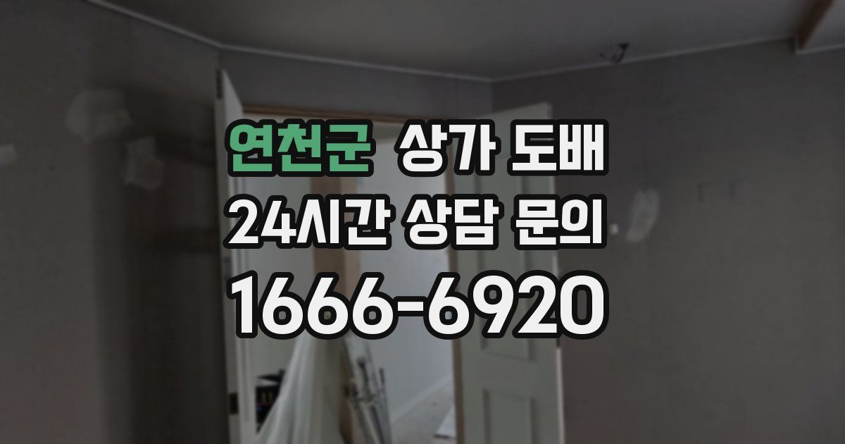 연천군 상가 도배