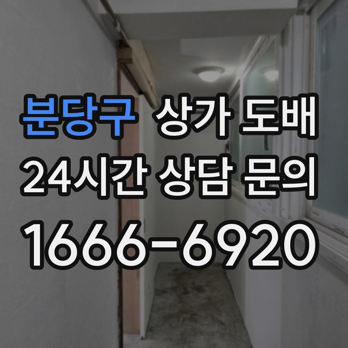 분당구 상가 도배