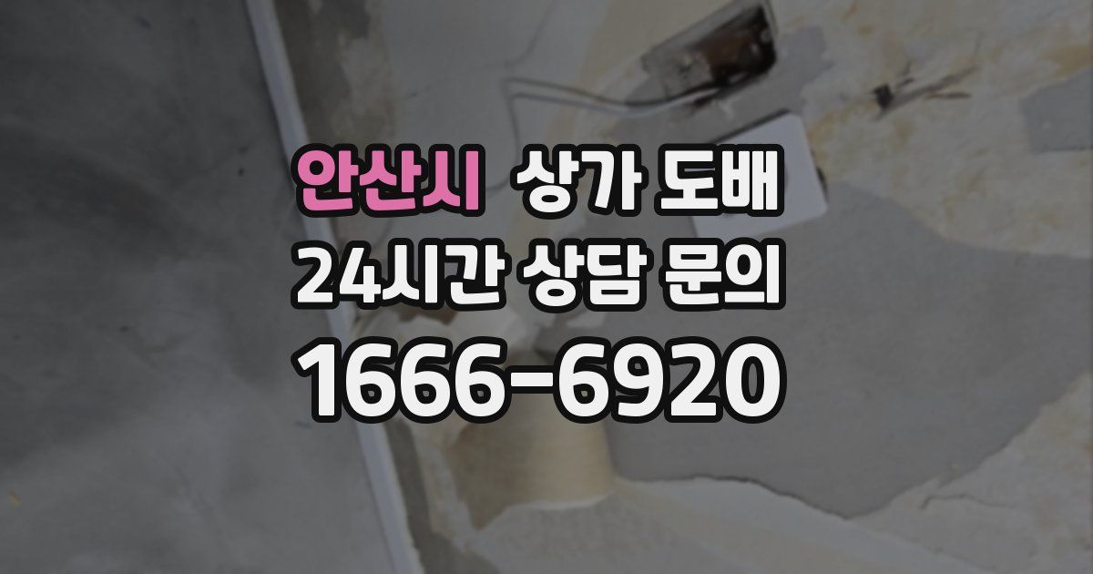 안산시 상가 도배