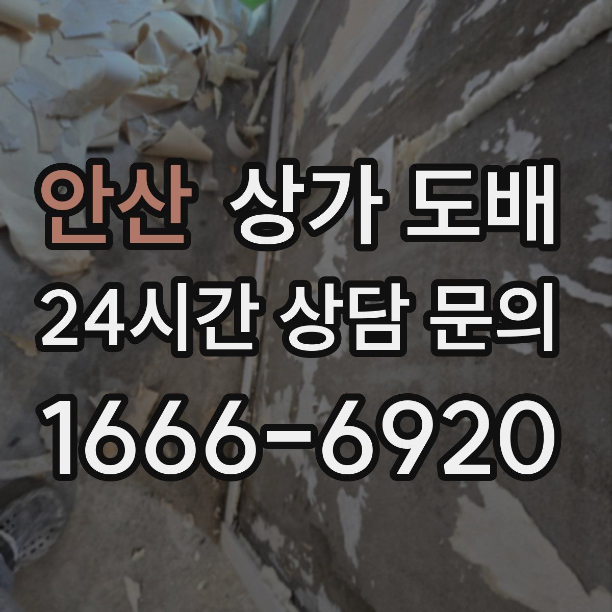 안산 상가 도배