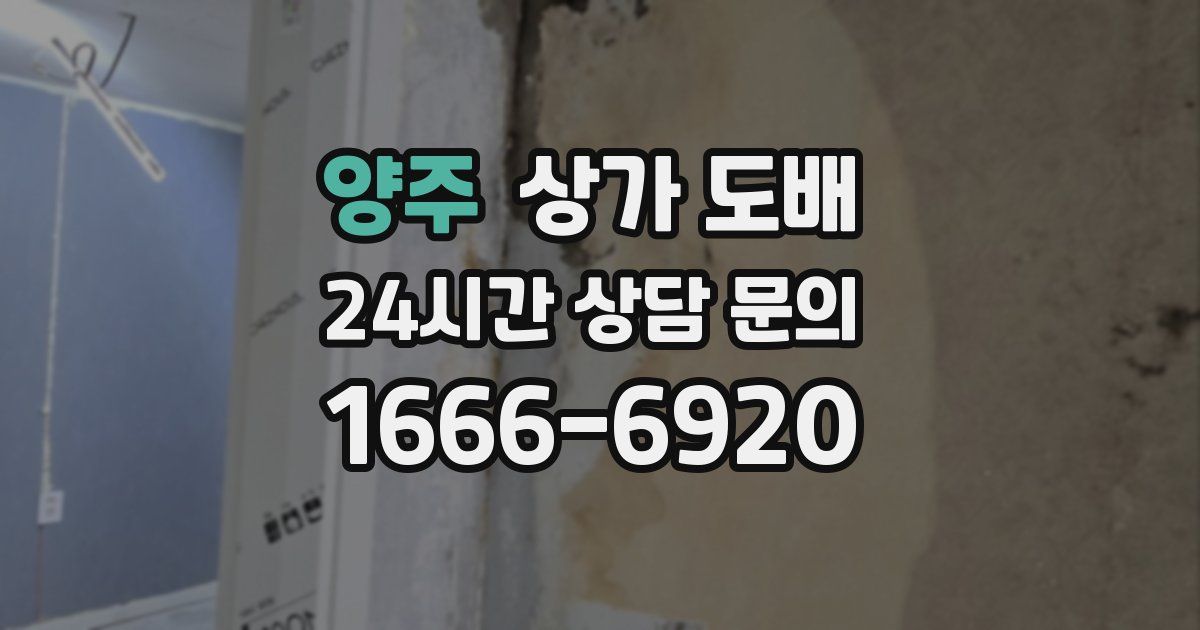 양주 상가 도배