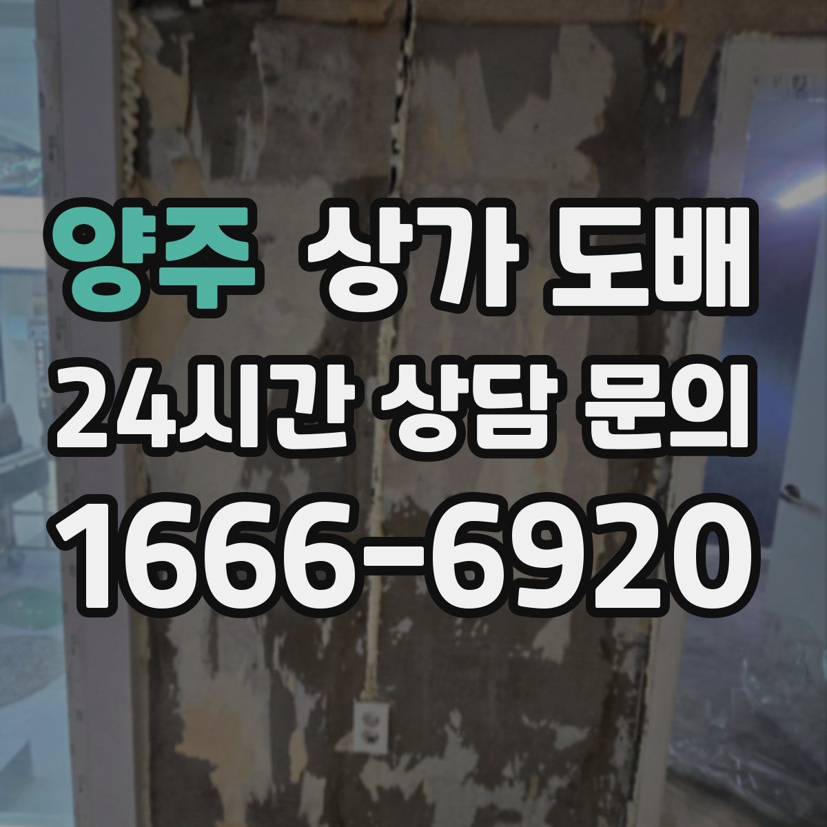 양주 상가 도배