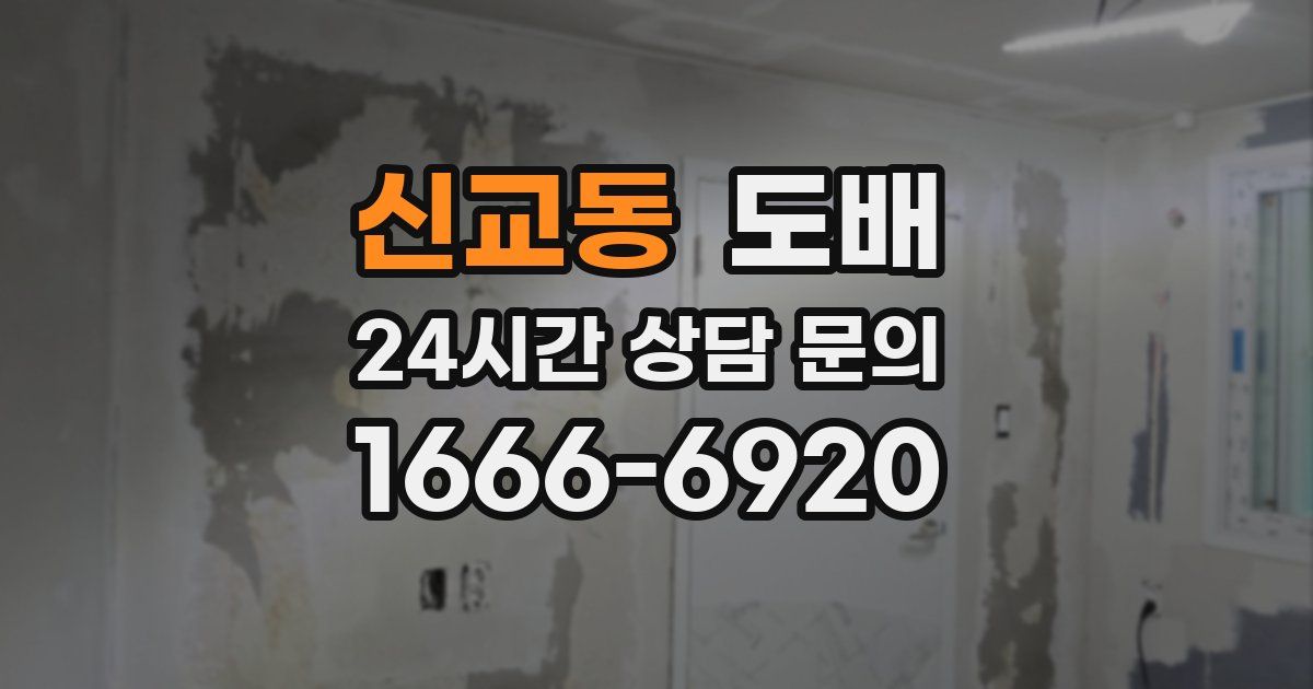 신교동 도배