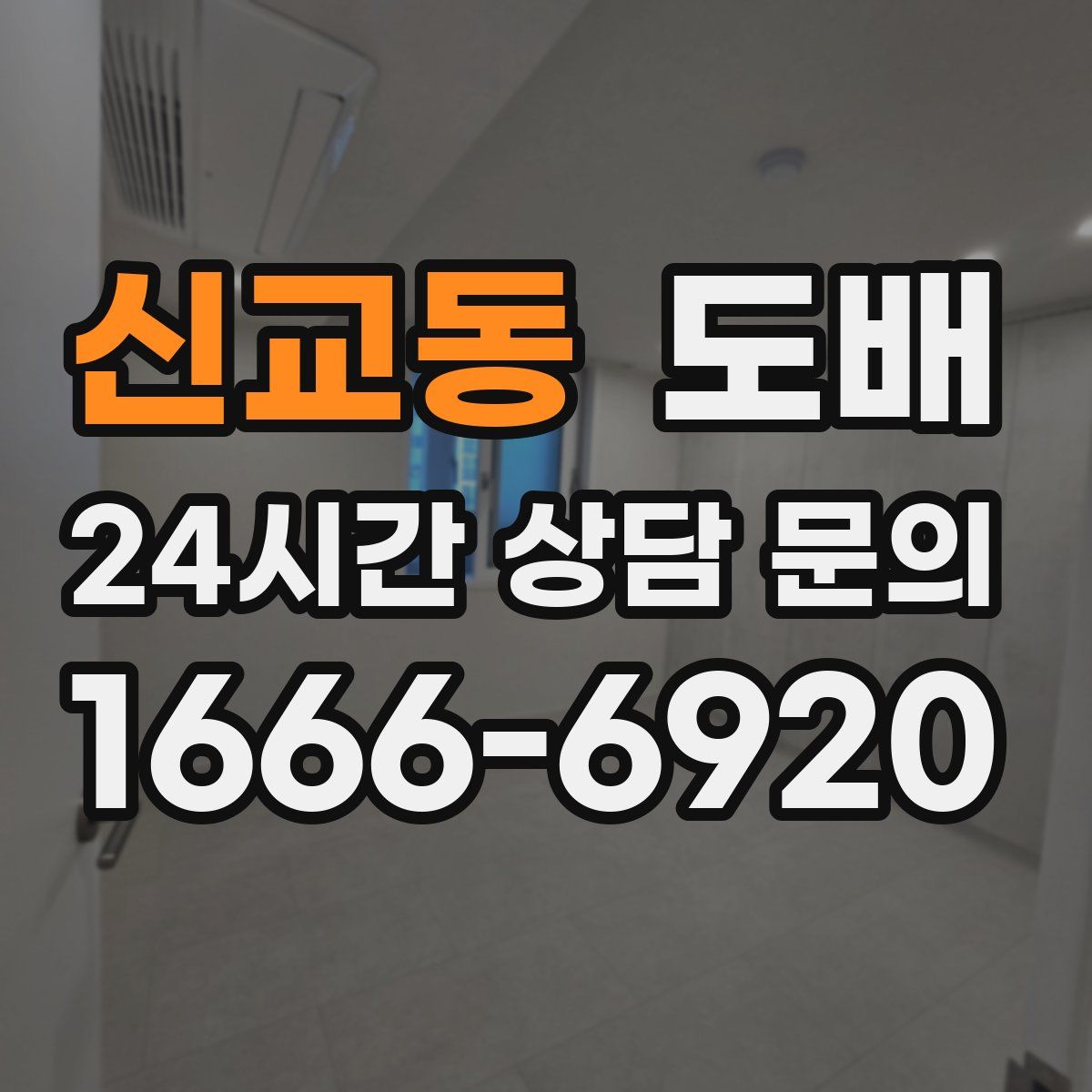 신교동 도배