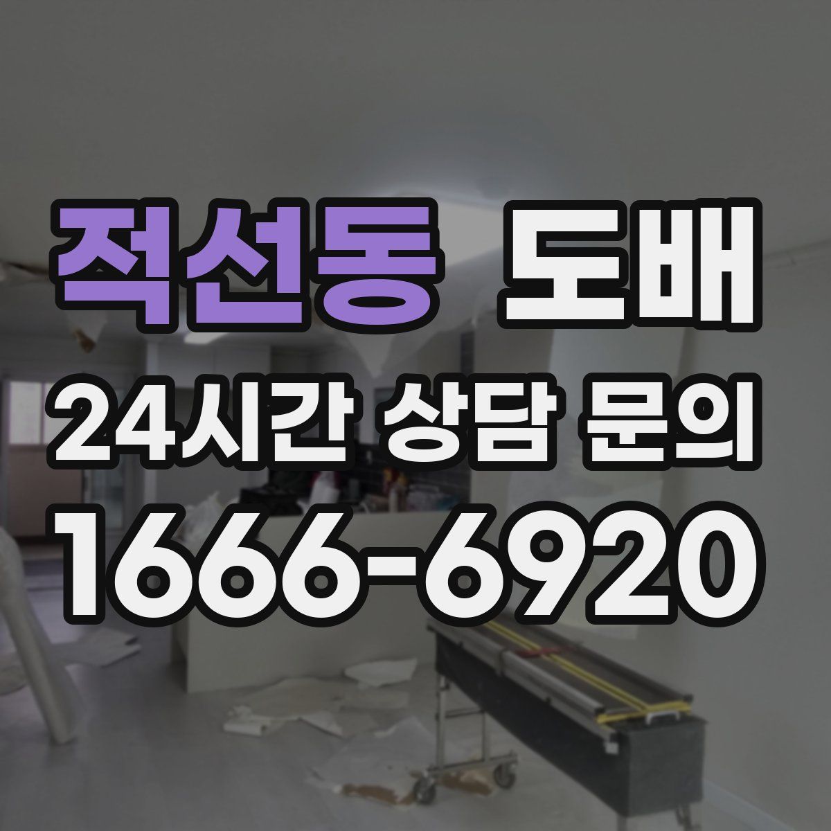 적선동 도배