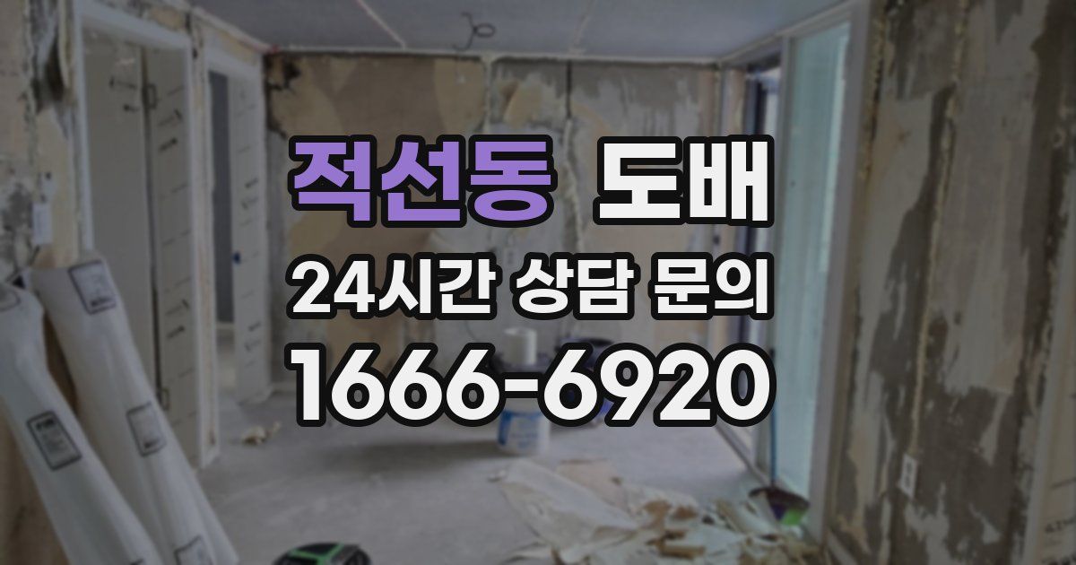 적선동 도배