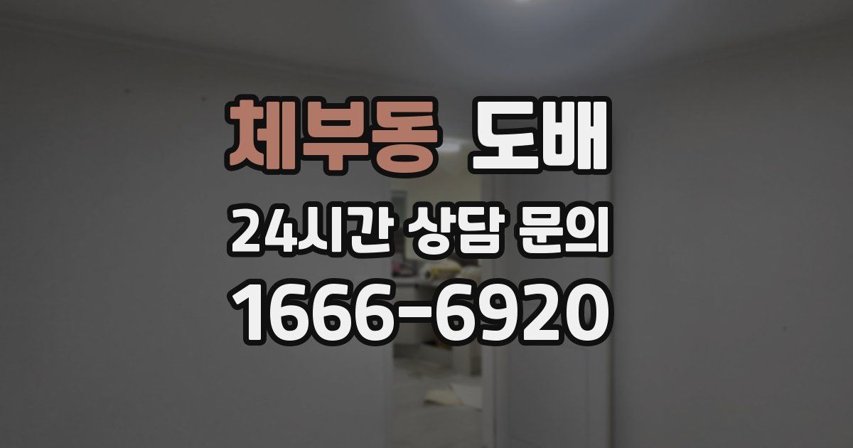 체부동 도배