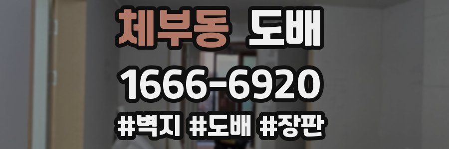 체부동 도배