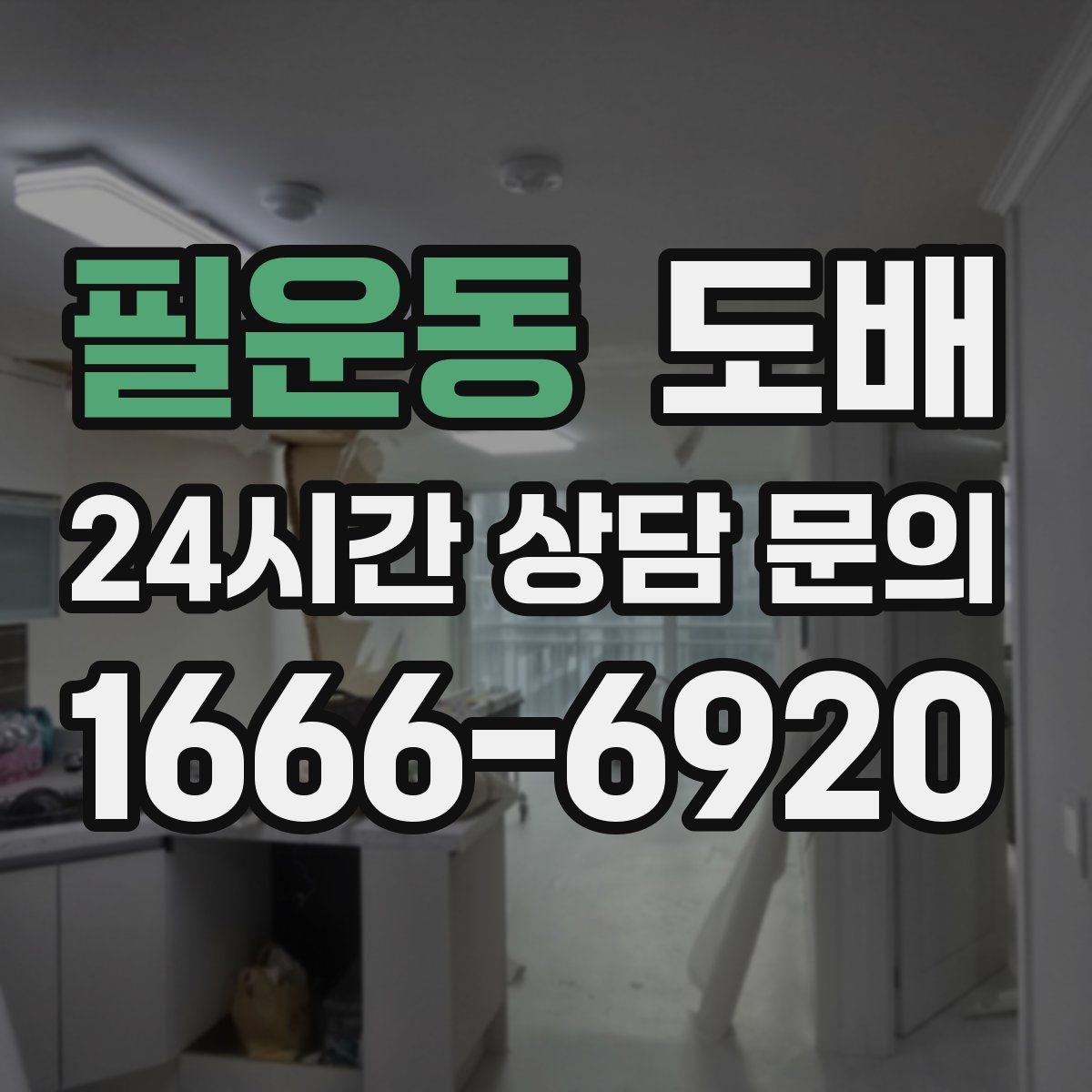필운동 도배