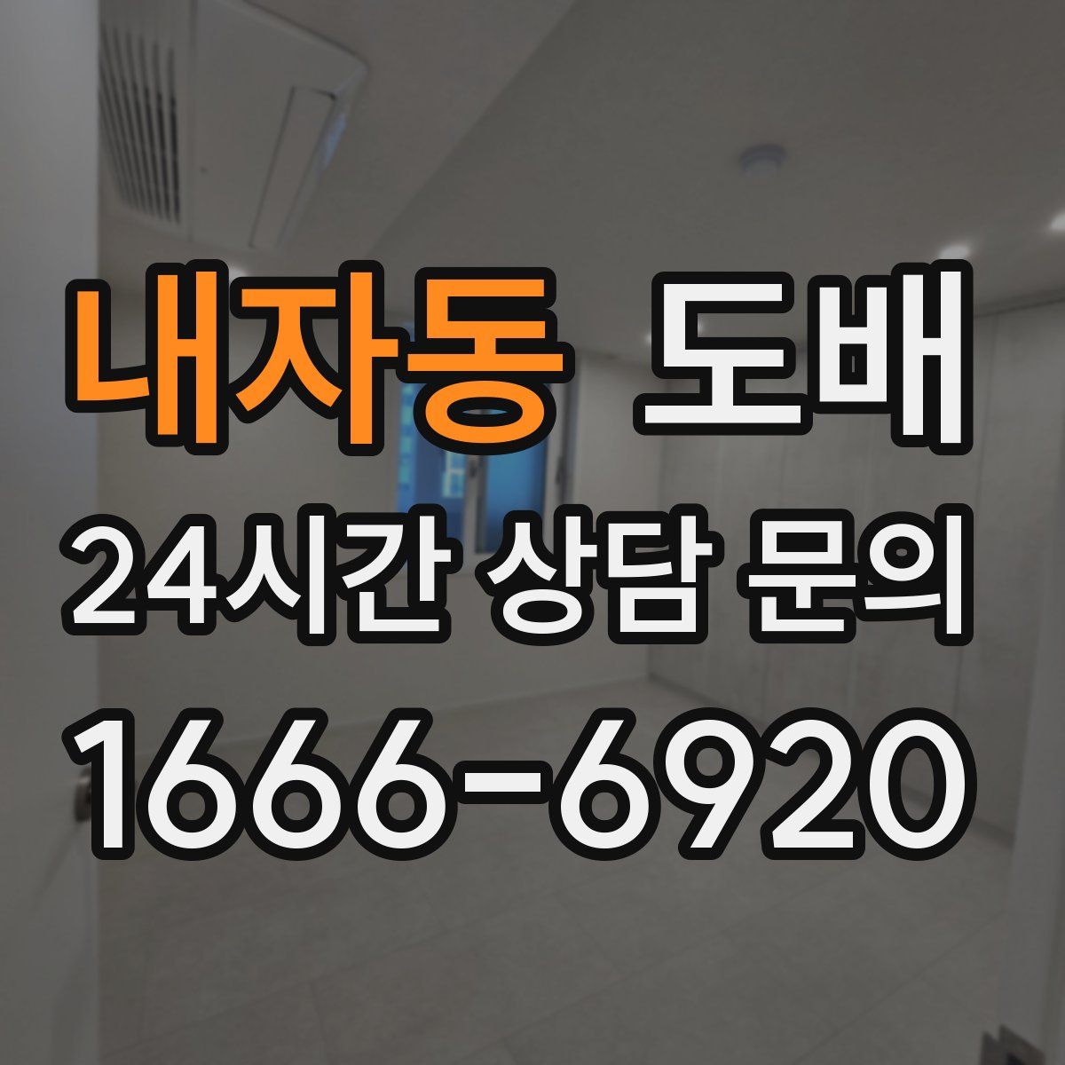 내자동 도배
