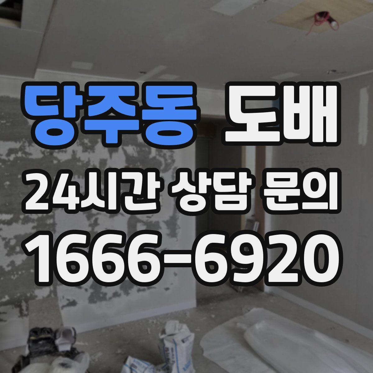 당주동 도배