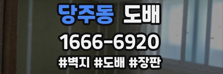 당주동 도배