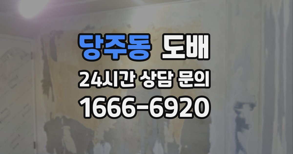 당주동 도배
