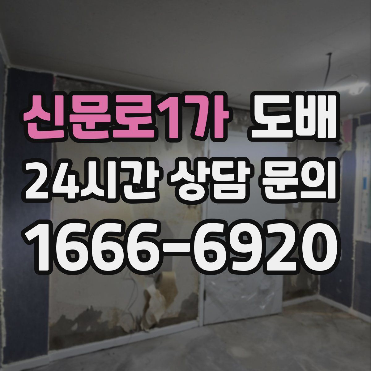 신문로1가 도배