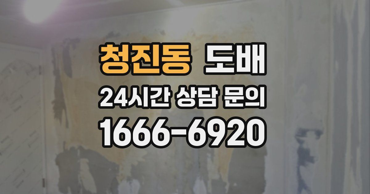 청진동 도배