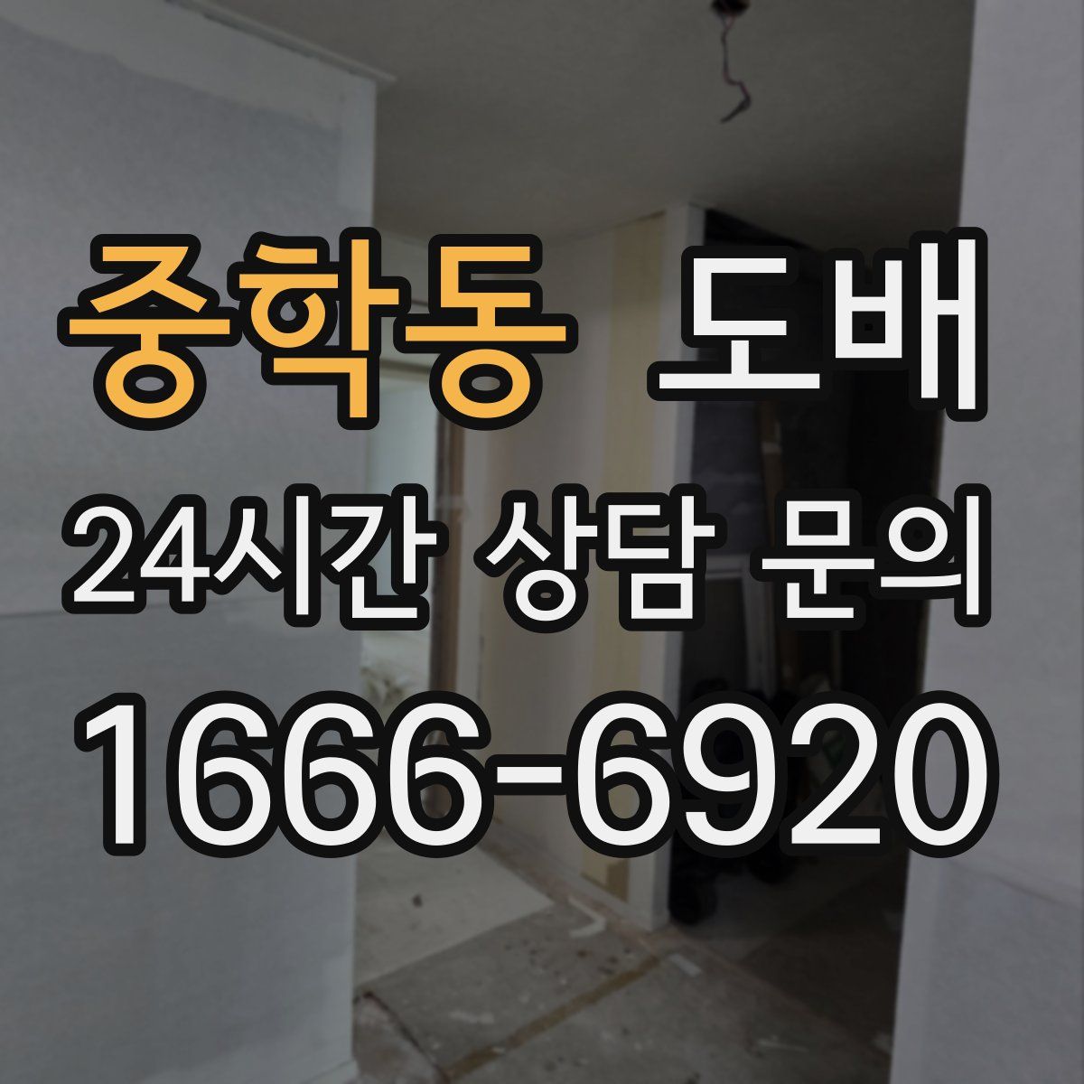 중학동 도배