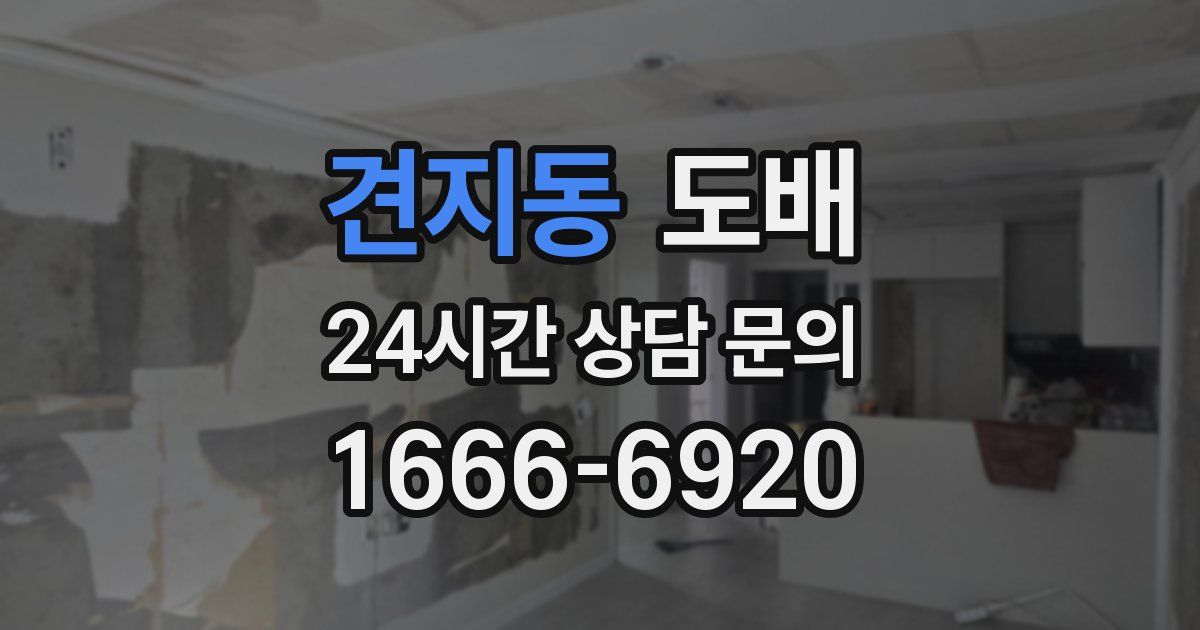 견지동 도배