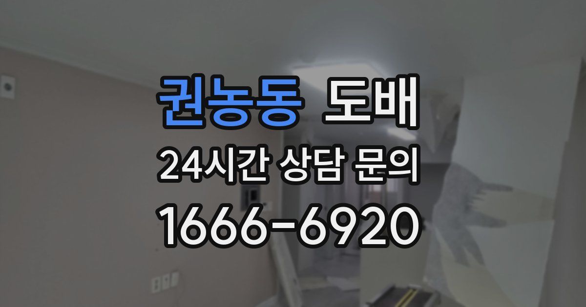 권농동 도배