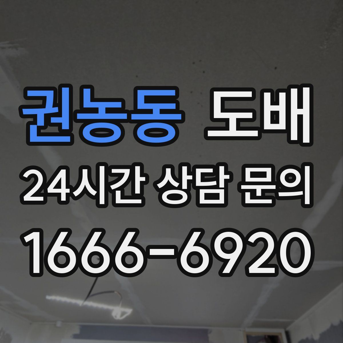 권농동 도배