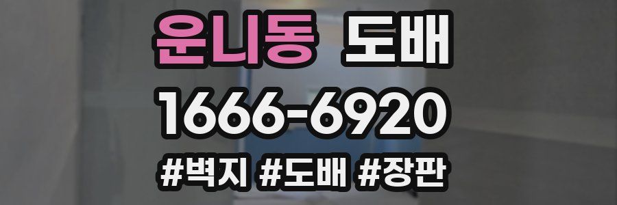 운니동 도배