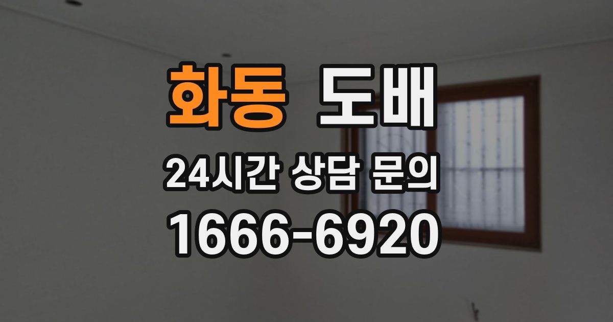 화동 도배
