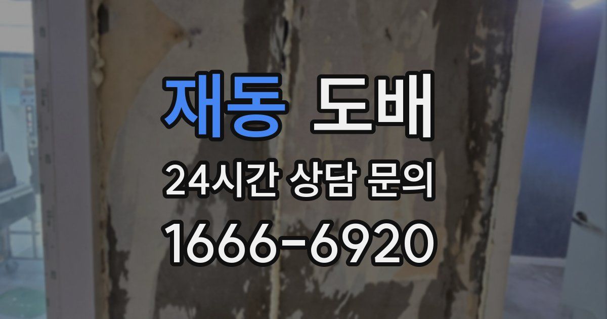 재동 도배