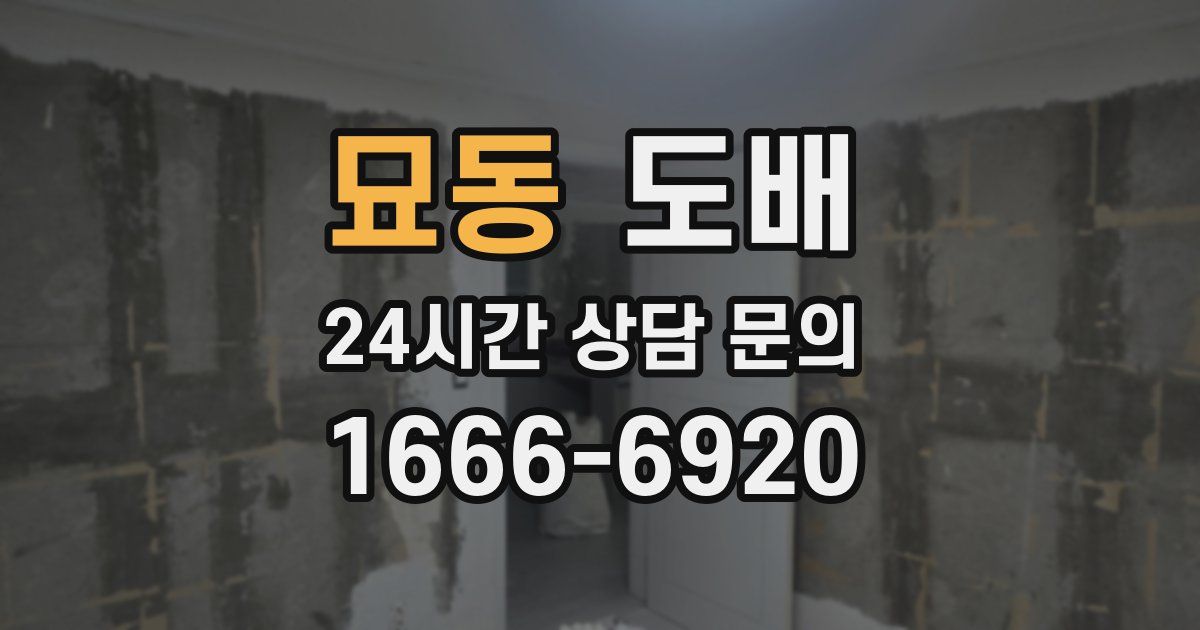 묘동 도배