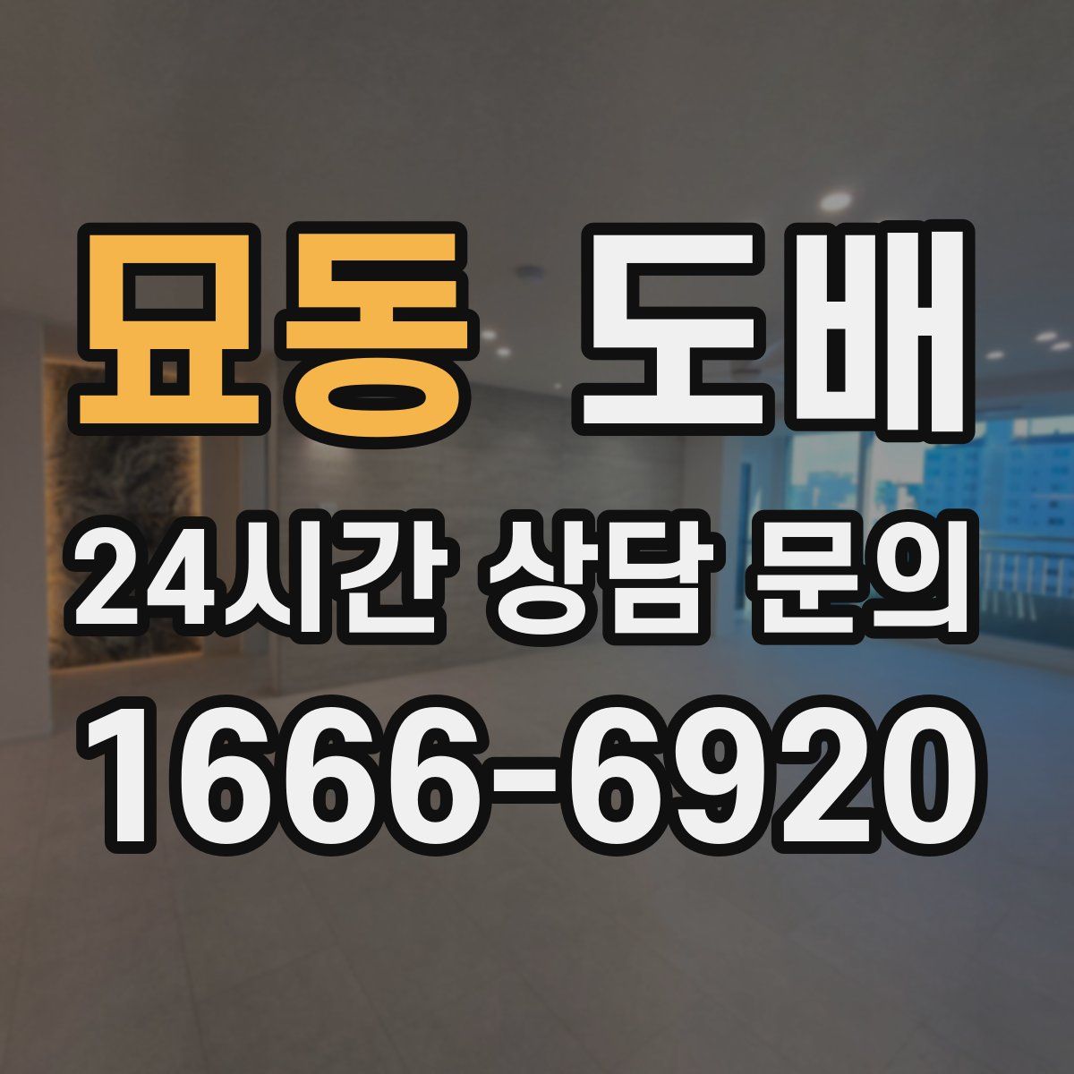 묘동 도배